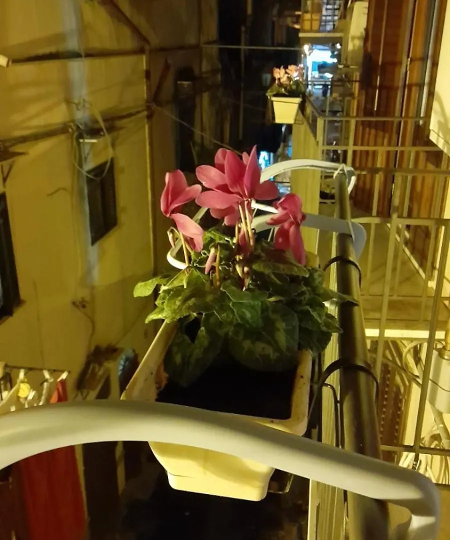 Casa Kyla Apartment Palermo Italy